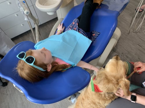 Children's dental appointment with a therapy dog